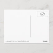 Carte Postale Pont de levage en eau douce et pelouse (Dos)