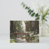 Carte Postale Pont de Muir Woods II (Debout devant)