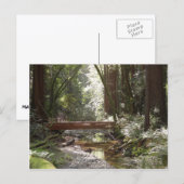 Carte Postale Pont de Muir Woods II (Devant / Derrière)