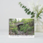 Carte Postale Pont de pierre - Parc national de l'Acadie (Debout devant)