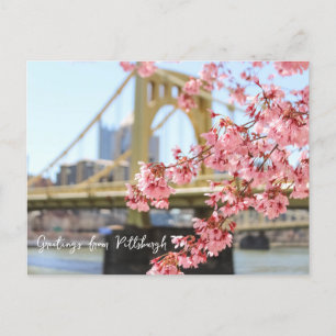 Carte Postale Pont de Pittsburgh et fleurs de cerisiers