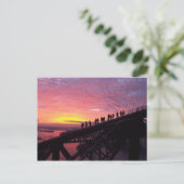 Carte Postale Pont de port de Sydney (Debout devant)