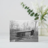 Carte Postale Pont de Salt Creek (Debout devant)