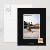 Carte Postale Pont de shaolin (Devant / Derrière)