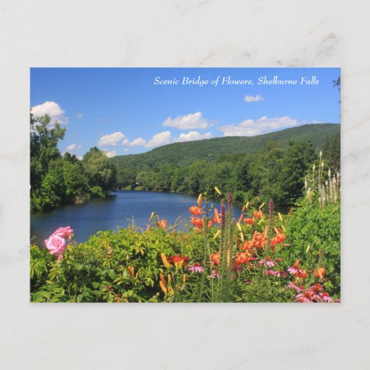 Carte Postale Pont des fleurs, Chutes Shelburne (Devant)