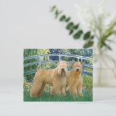 Carte Postale Pont - Deux Terriers Wheaten (Debout devant)