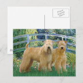 Carte Postale Pont - Deux Terriers Wheaten (Devant / Derrière)
