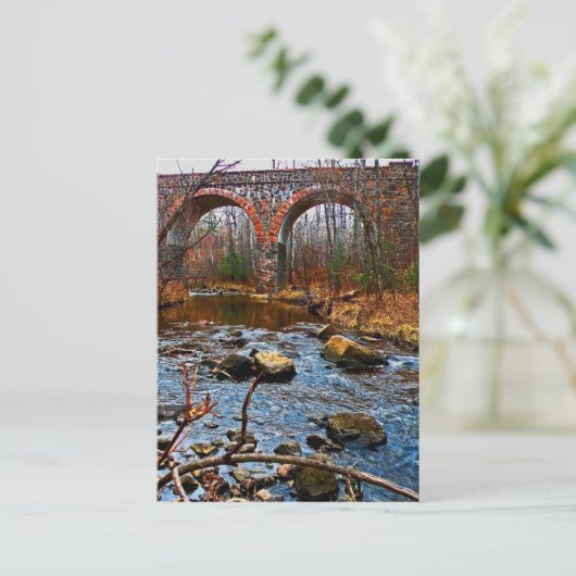 Carte Postale Pont Double Arche (Debout devant)