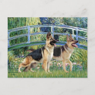 Carte Postale Pont du bassin aux nymphéas - Deux chiens de berge