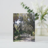 Carte Postale Pont du parc (Debout devant)