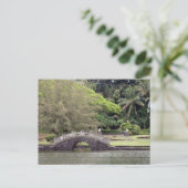 Carte Postale Pont du parc Lili'uokalani (Debout devant)