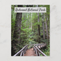 Pont en bois et Sequoias | Parc national de Redwoo