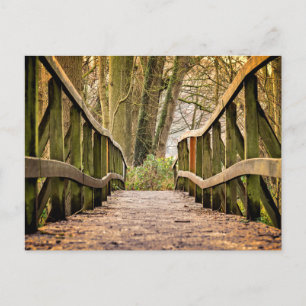 Carte Postale Pont en bois, Nature, Forêt