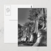 Carte Postale Pont interurbain (Devant / Derrière)