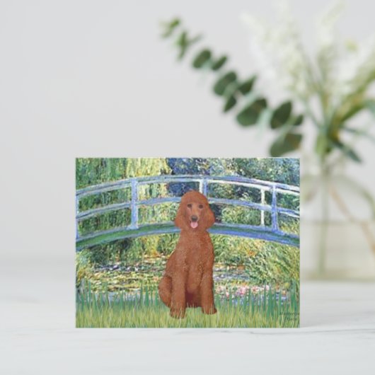 Carte Postale Pont Lily Pond - Poodle rouge foncé N° 1 (Debout devant)