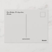 Carte Postale Pont Lion St Augustine Floride (Dos)