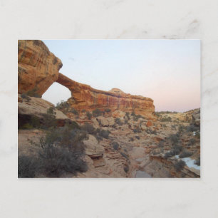 Carte Postale Pont Owachomo Aux Ponts Naturels Monume National