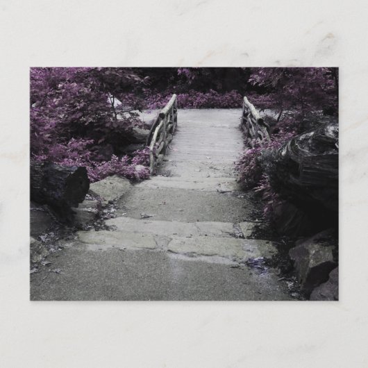 Carte Postale Pont paysage noir et blanc Photo (Devant)