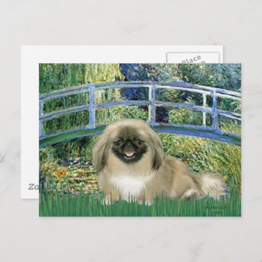 Carte Postale Pont - Pekingese 1b (Devant / Derrière)
