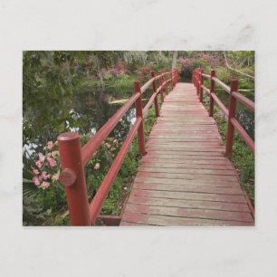 Carte Postale Pont rouge sur étang, Magnolia Plantation,
