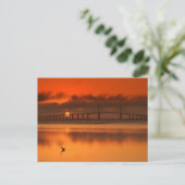 Carte Postale Pont Skyway (Debout devant)