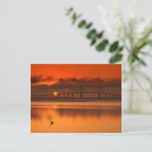 Carte Postale Pont Skyway (Debout devant)