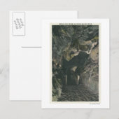 Carte Postale Pont sous la vue de roche d'équilibre (Devant / Derrière)