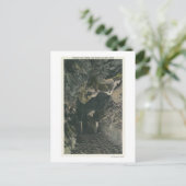 Carte Postale Pont sous la vue de roche d'équilibre (Debout devant)