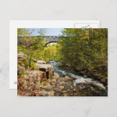 Carte Postale Pont sur la rivière (Devant / Derrière)