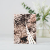 Carte Postale pont suspendu (Debout devant)