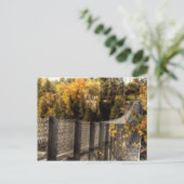 Carte Postale Pont Suspension de la gorge Ranney (Debout devant)