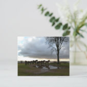 Carte Postale Ponts d'exploration (Debout devant)