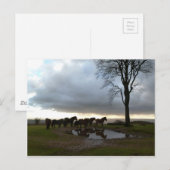 Carte Postale Ponts d'exploration (Devant / Derrière)