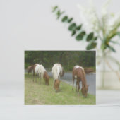 Carte Postale Ponts insouciants (Debout devant)