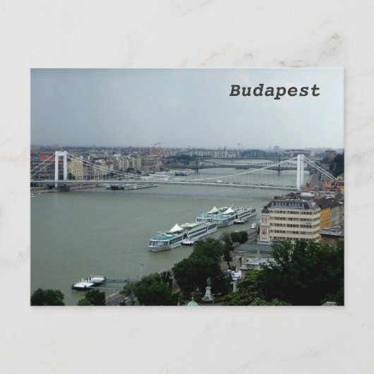 Carte Postale Ponts sur le Danube (Devant)