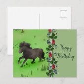 Carte Postale Pony (Devant / Derrière)