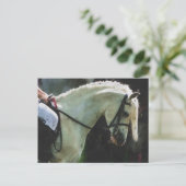 Carte Postale Pony au spectacle (Debout devant)