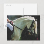 Carte Postale Pony au spectacle (Devant / Derrière)