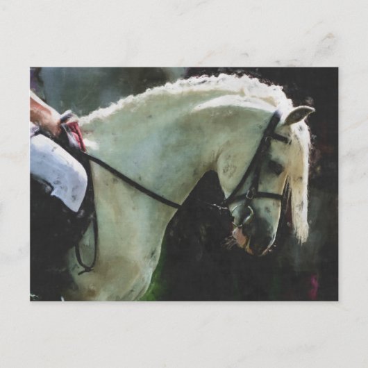 Carte Postale Pony au spectacle (Devant)