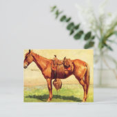 Carte Postale Pony de vache (Debout devant)