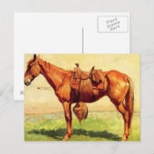 Carte Postale Pony de vache (Devant / Derrière)