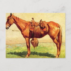 Carte Postale Pony de vache