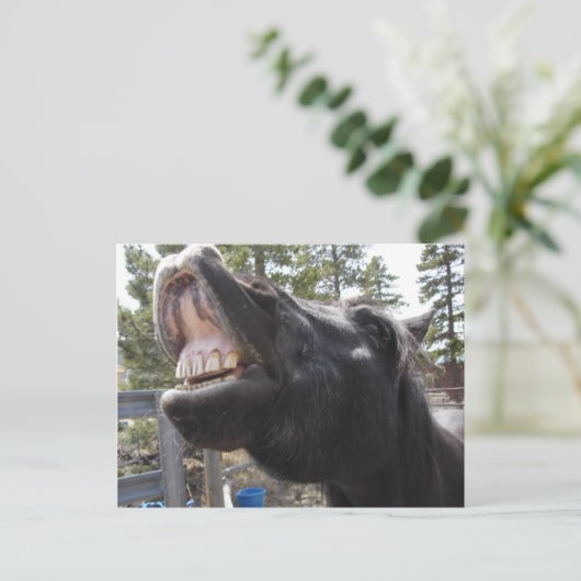 Carte Postale Pony Talk (Debout devant)