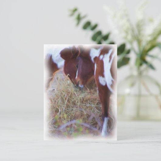 Carte Postale ponylove (Debout devant)