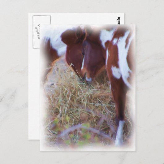 Carte Postale ponylove (Devant / Derrière)
