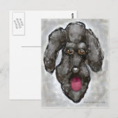 Carte Postale Poodle (Devant / Derrière)