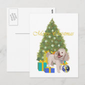 Carte Postale Poodle (Devant / Derrière)