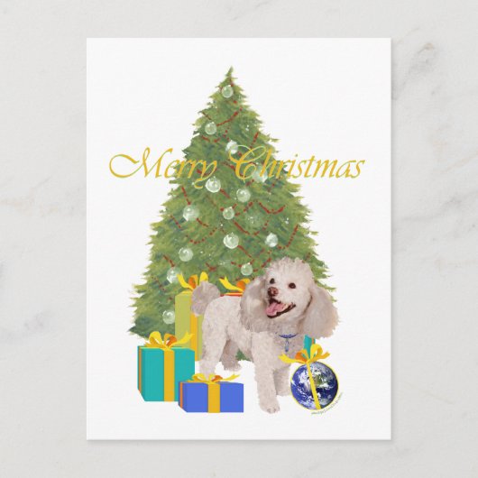 Carte Postale Poodle (Devant)