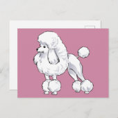 Carte Postale Poodle (Devant / Derrière)