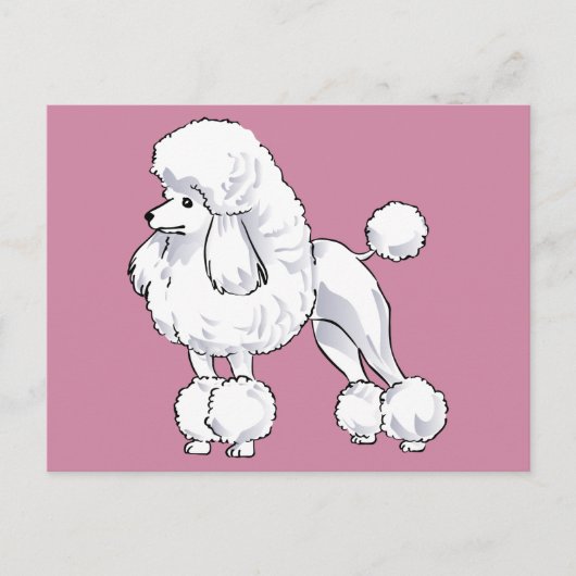 Carte Postale Poodle (Devant)